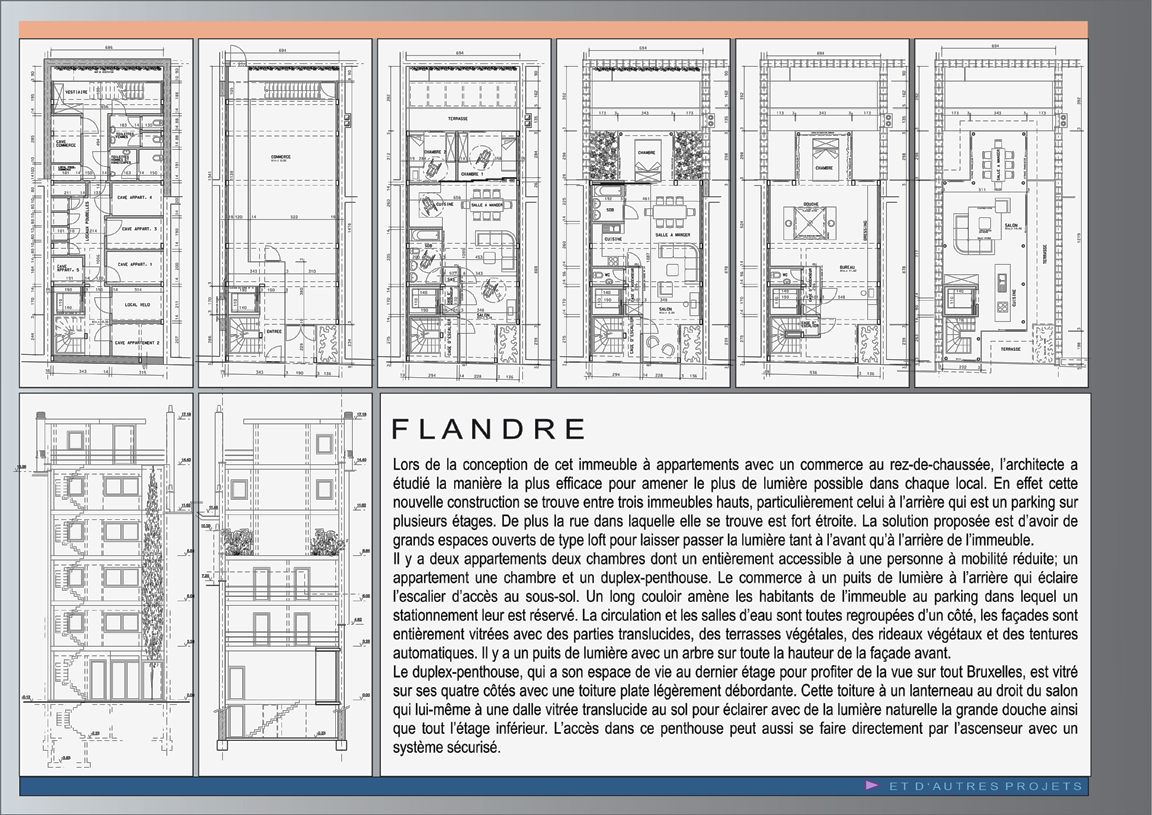 page_flandre